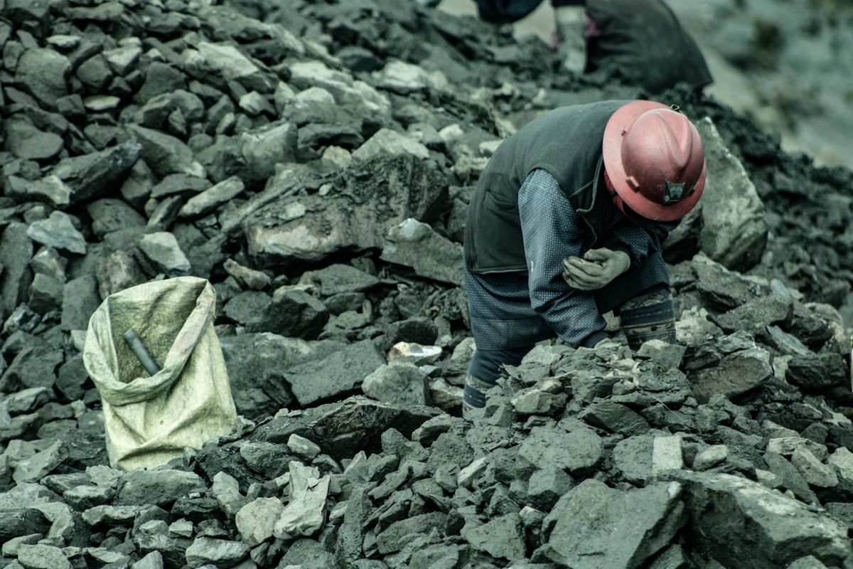 Geologists examining gold-bearing rock samples