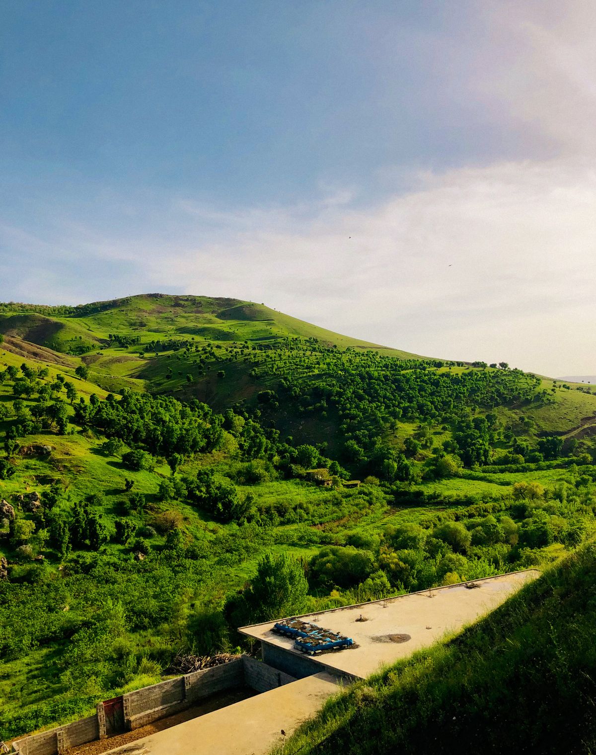 Rehabilitated green landscape near Africana Gold operations