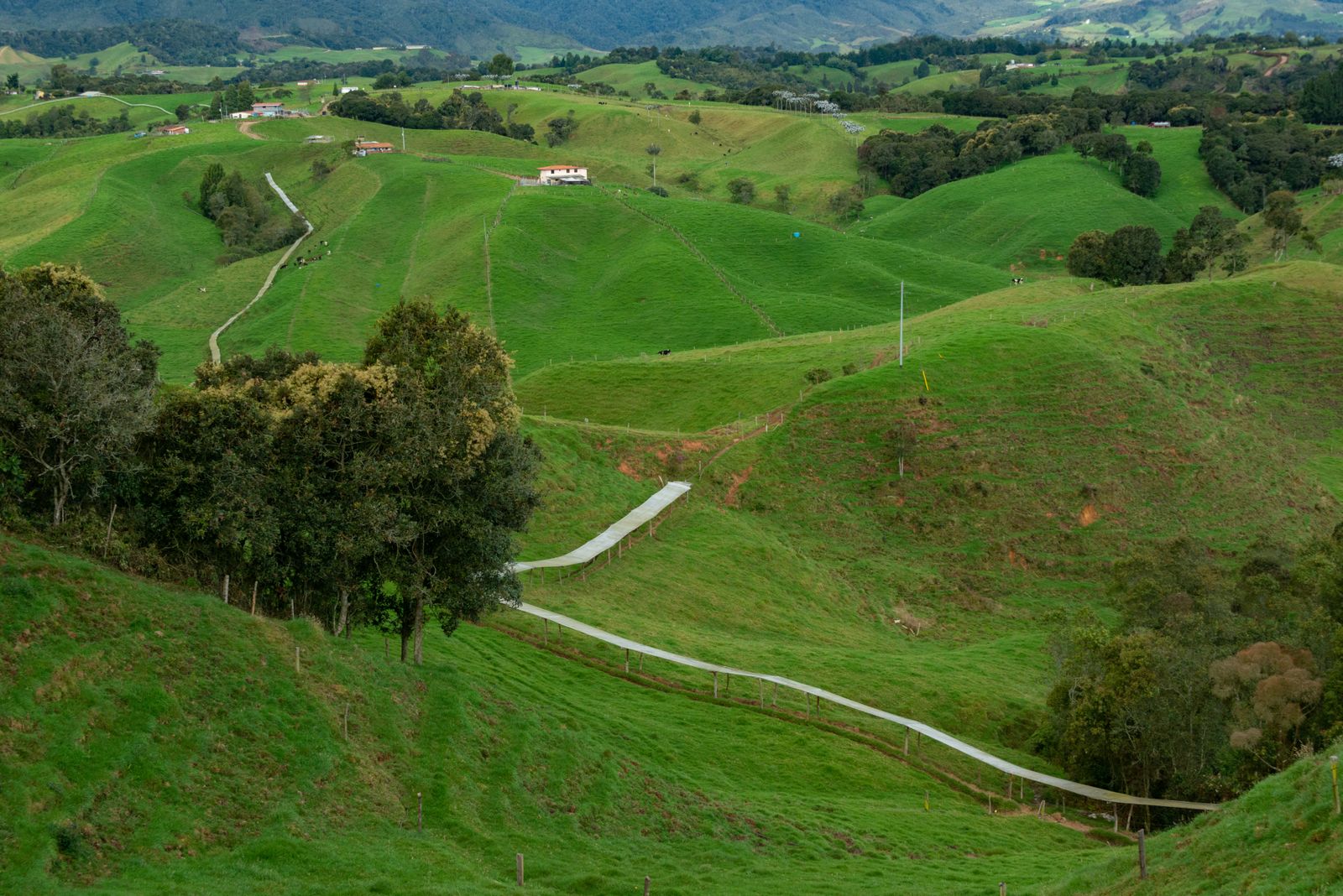 Reclaimed hills and green landscape beside mining areas