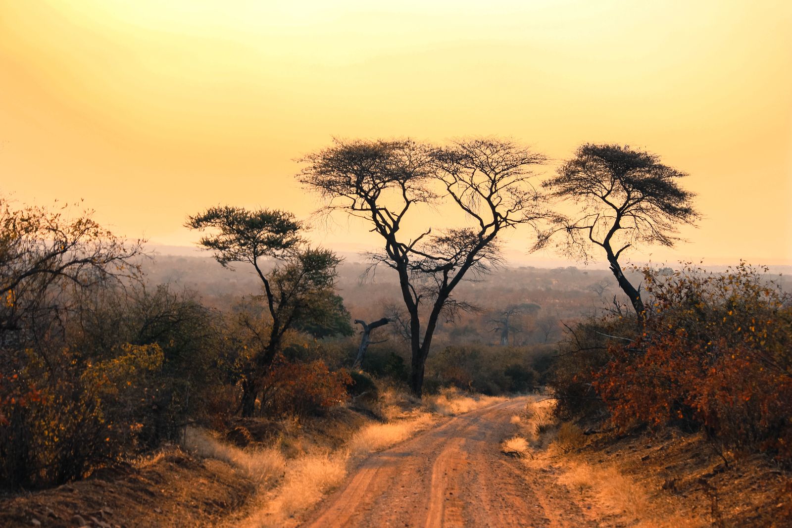 African landscape at golden hour - the mineral-rich region we work in